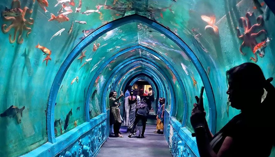 Star Aquarium, Kollam, Kerala - Vushii.com Star Aquarium, Kollam, Kerala - Vushii.com